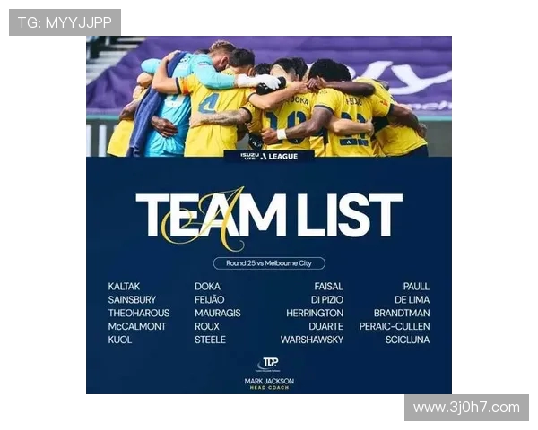 墨尔本城球迷举马桶圈庆祝夺冠形似澳超奖杯引热议